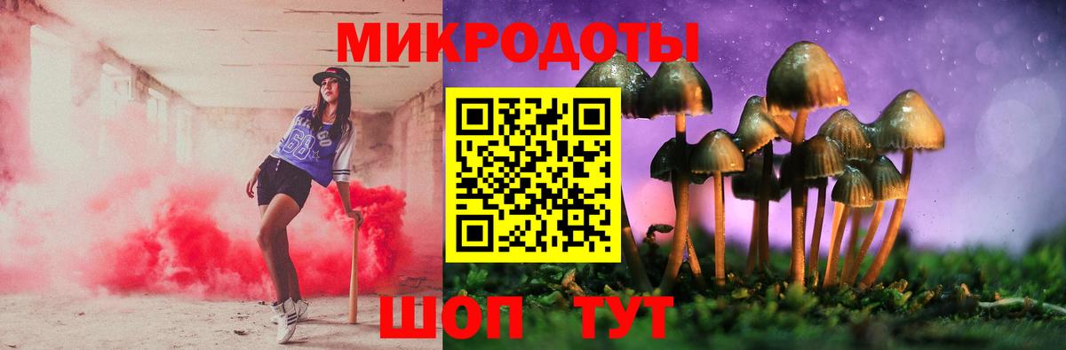 Галлюциногенные грибы Cubensis  Вход с VPN  Ухта 